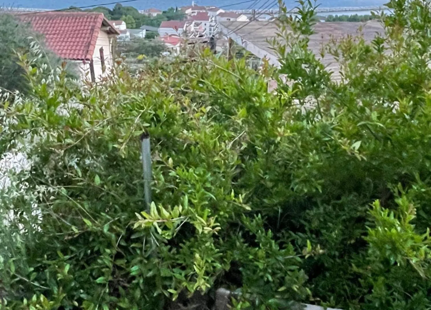Apartment Magnifique Vue Sur La Mer ... Marseille France